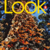 Look National Geographic interactive English series for primary students featuring real-world photography